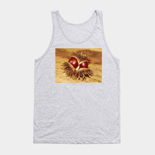 horse chestnut - conker Tank Top by Simon-dell